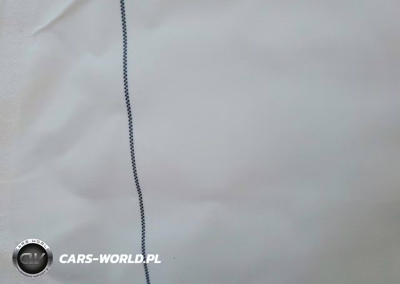 2024 Tesla Model 3 VIN:5YJ3E1ET9RF881948 - 10