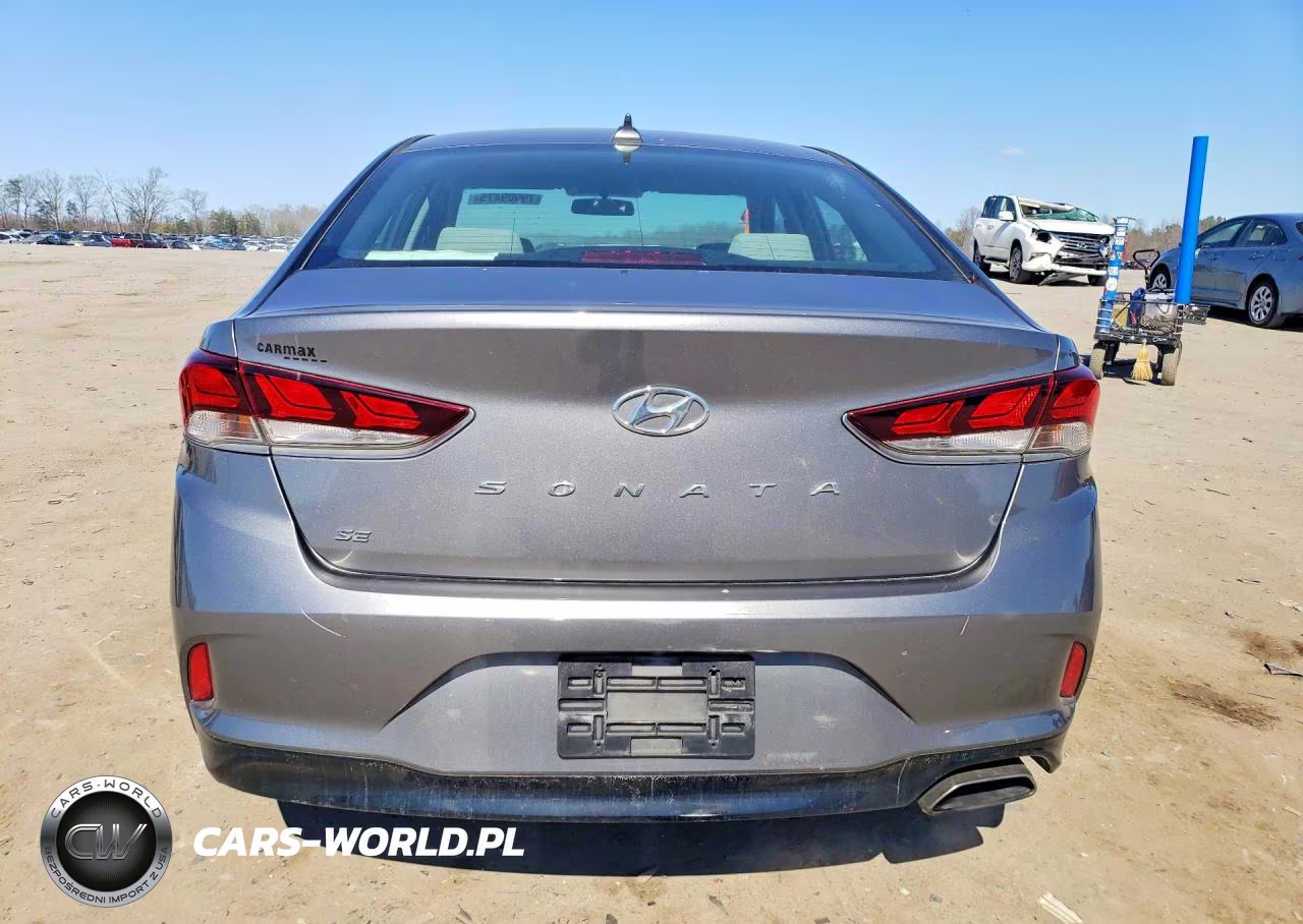 2019 Hyundai Sonata Se VIN:5NPE24AF6KH746808 - 6