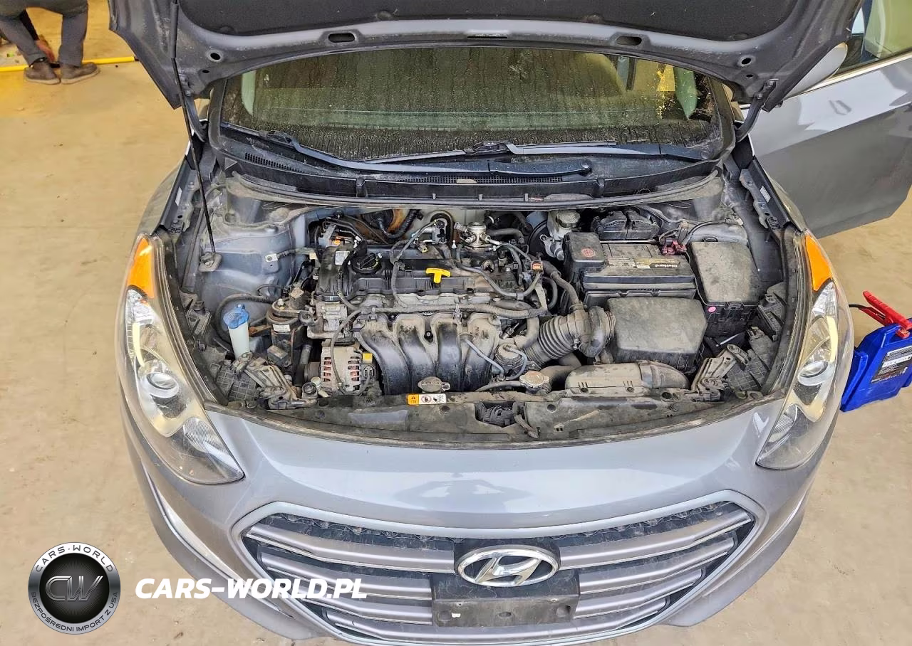 2016 Hyundai Elantra Gt Base VIN:KMHD35LH5GU298602 - 11