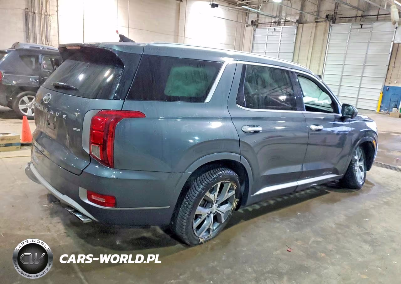 2021 Hyundai Palisade Limited VIN:KM8R5DHE0MU173558 - 3