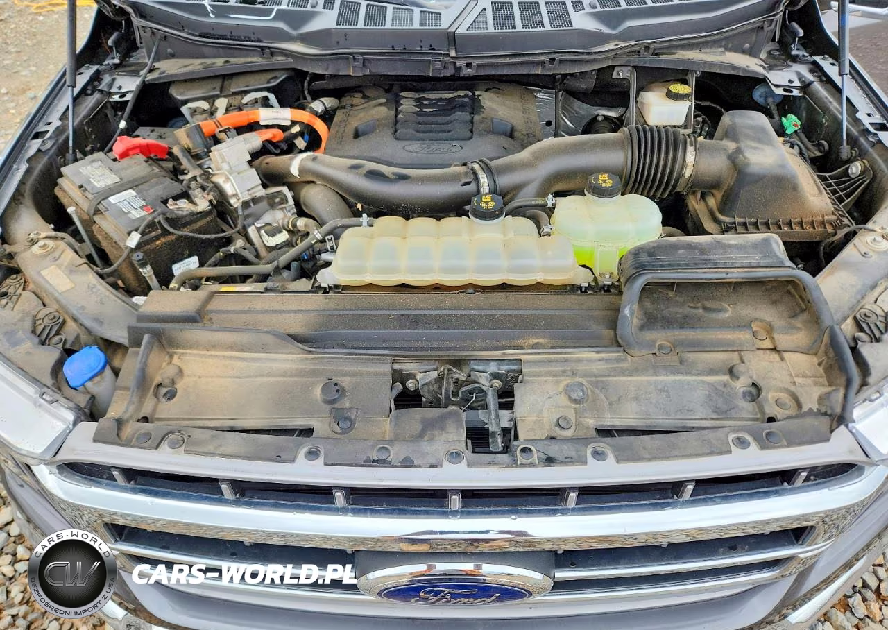 2022 Ford F150 Supercrew VIN:1FTFW1ED5NFA31601 - 11