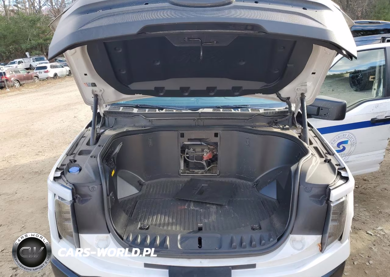2022 Ford F150 Lightning Pro VIN:1FTVW1EL1NWG11432 - 11