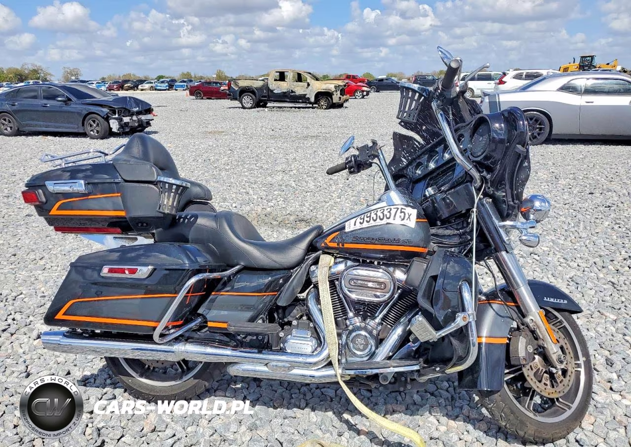 2022 Harley Davidson Flhtk