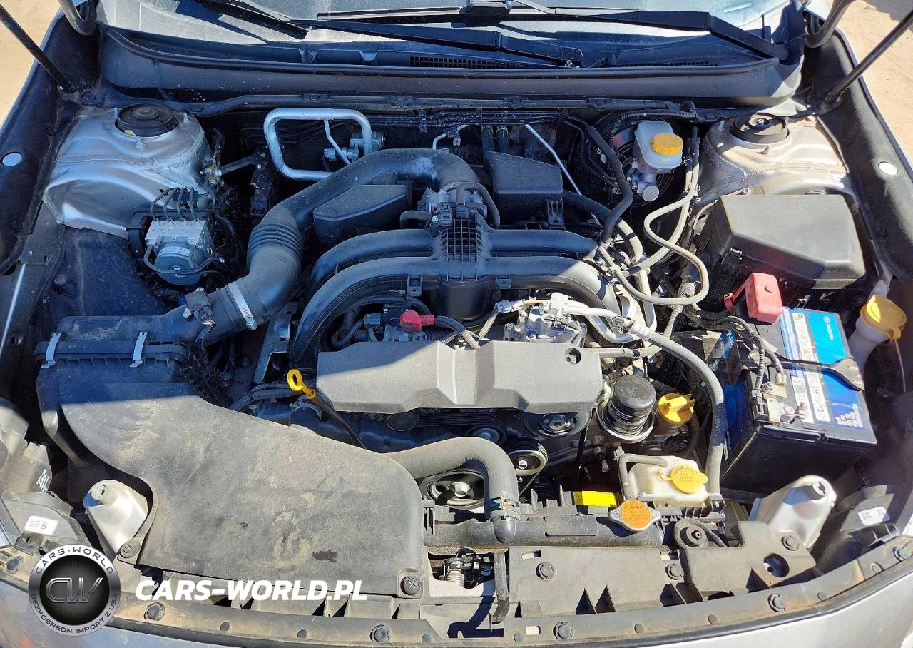 2017 Other Automobile Other VIN:4S3BNAK69H3065330 - 11
