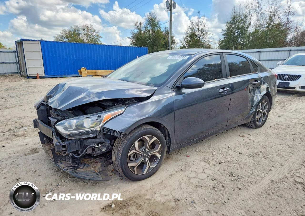 2019 Kia Forte Lxs