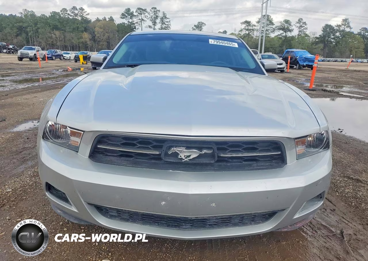 2010 Ford Mustang VIN:1ZVBP8AN2A5165434 - 5