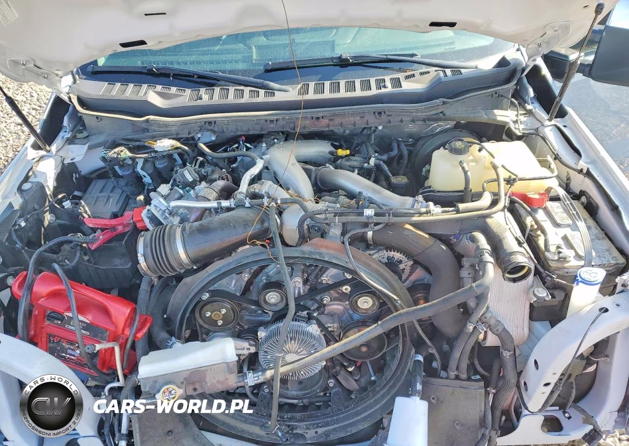 2024 Ford F250 Super Duty VIN:1FT8W2BT7RED63402 - 11