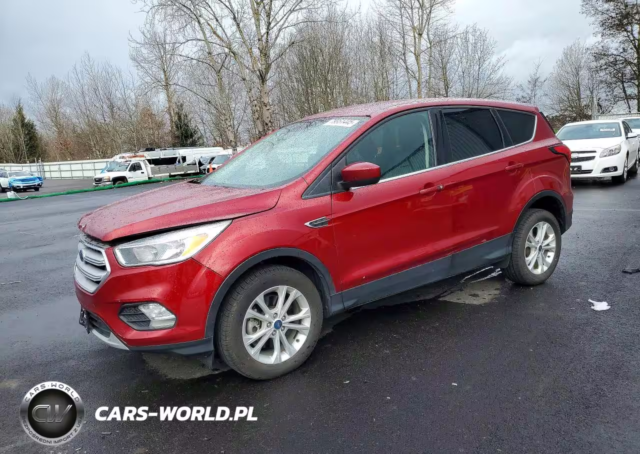 2019 Ford Escape Se