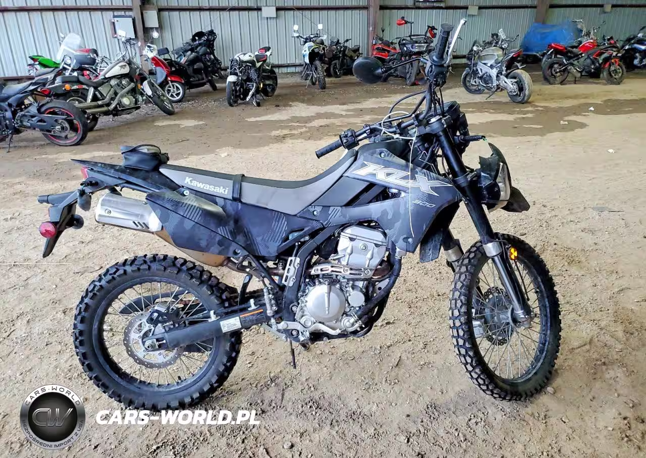 2024 Kawasaki Klx300 F