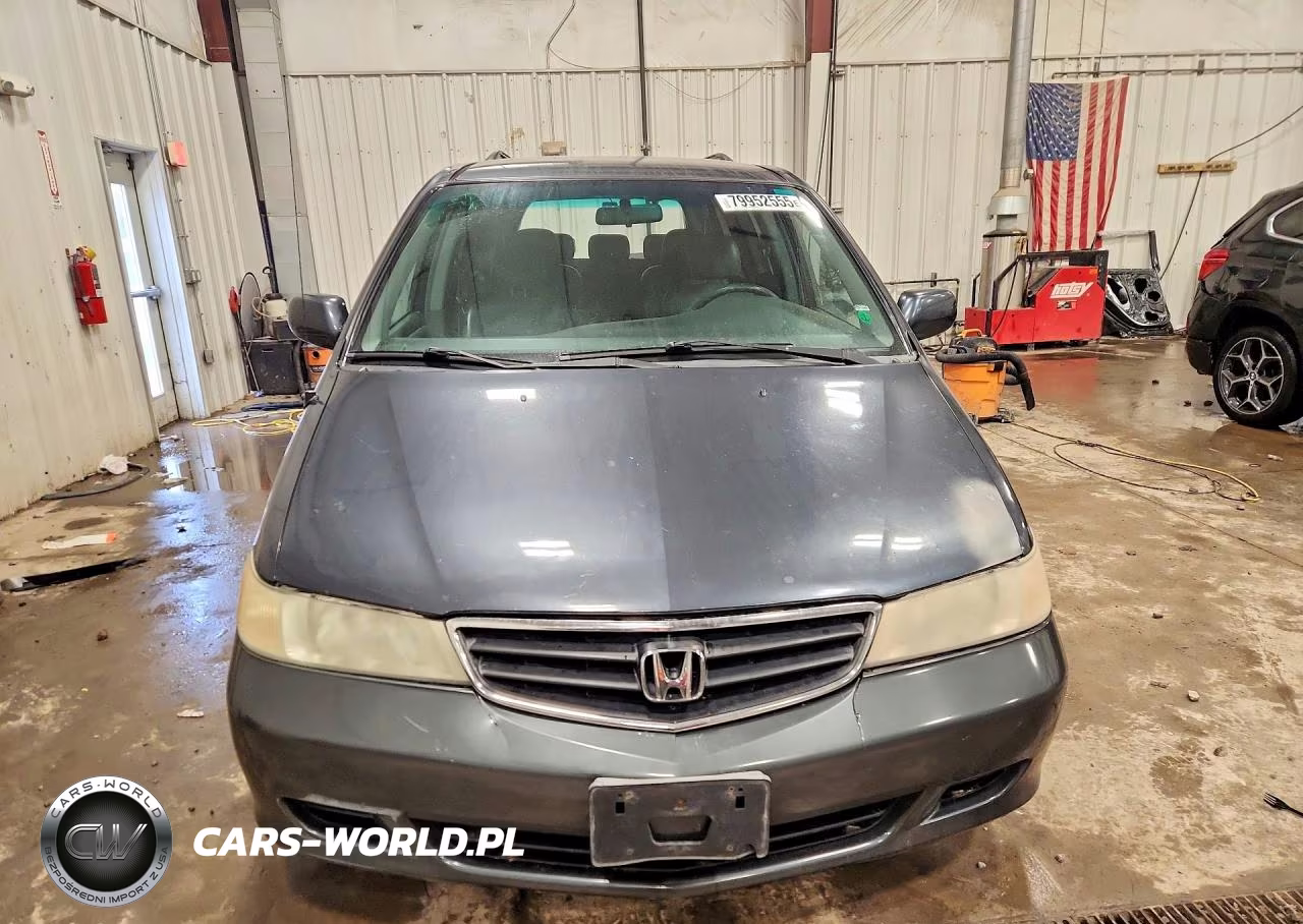 2004 Honda Odyssey Exl VIN:5FNRL18904B020392 - 5