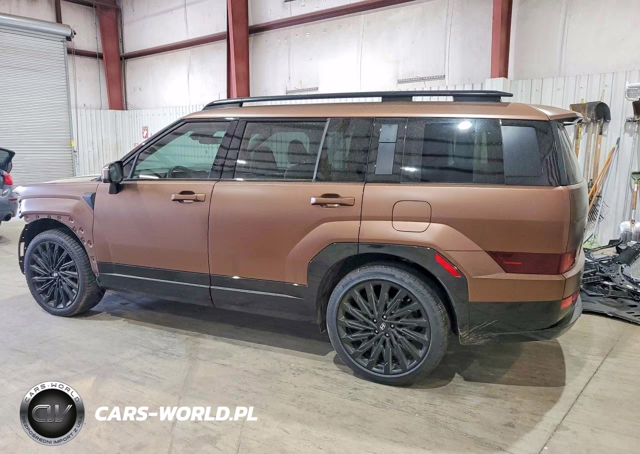 2025 Hyundai Santa Fe Calligraphy VIN:5NMP54GL0SH085366 - 2