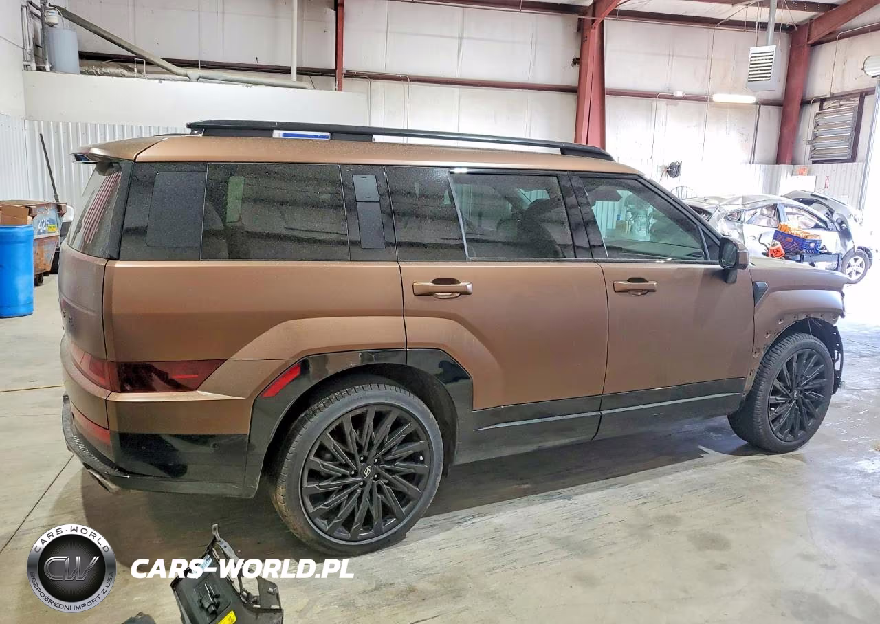 2025 Hyundai Santa Fe Calligraphy VIN:5NMP54GL0SH085366 - 3