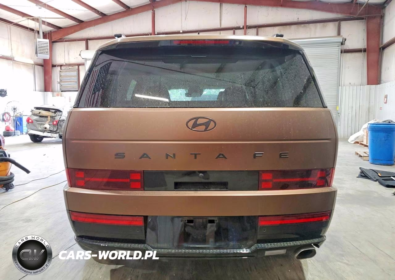 2025 Hyundai Santa Fe Calligraphy VIN:5NMP54GL0SH085366 - 6