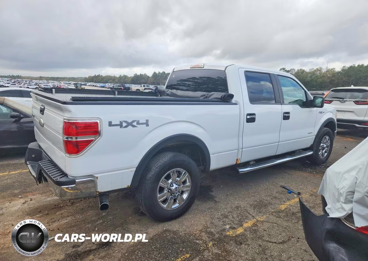 2011 Ford F150 Supercrew VIN:1FTFW1ET1BFA83696 - 3