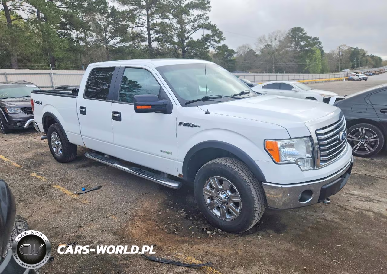 2011 Ford F150 Supercrew VIN:1FTFW1ET1BFA83696 - 4