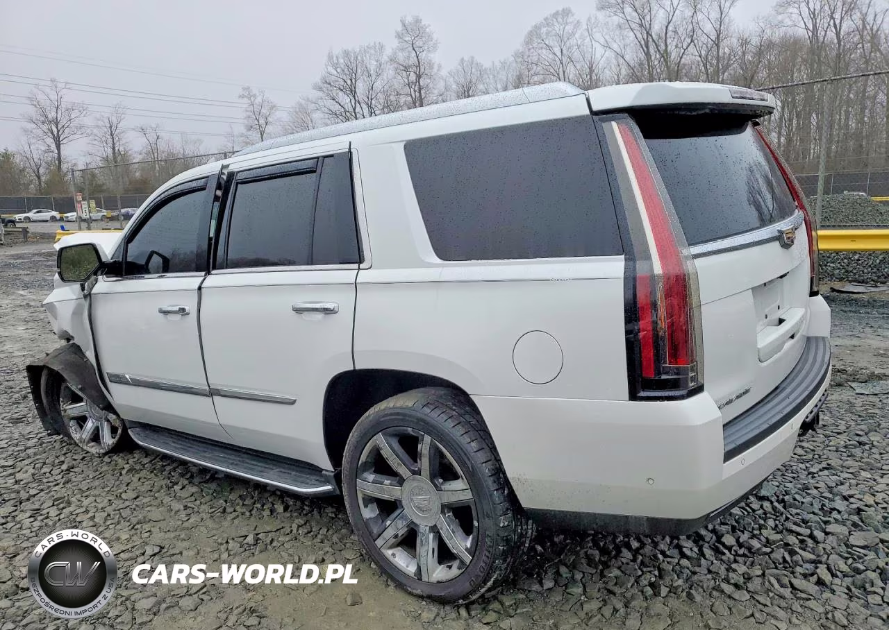 2017 Cadillac Escalade Luxury VIN:1GYS4BKJ0HR141912 - 2