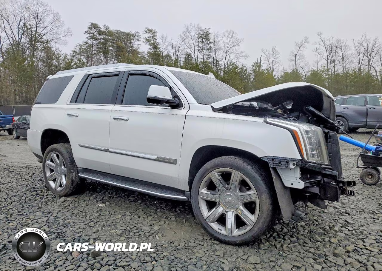 2017 Cadillac Escalade Luxury VIN:1GYS4BKJ0HR141912 - 4