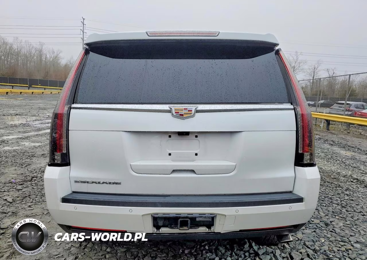 2017 Cadillac Escalade Luxury VIN:1GYS4BKJ0HR141912 - 6
