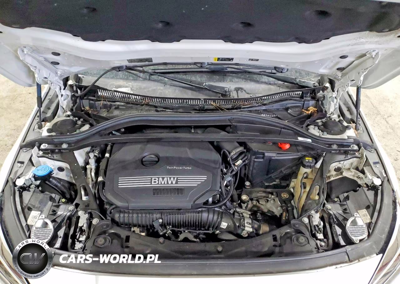 2021 BMW 228Xi VIN:WBA73AK06M7J14992 - 11