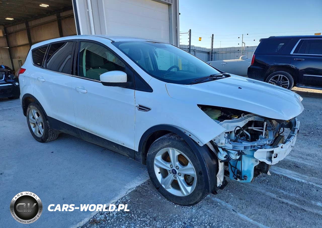 2016 Ford Escape Se VIN:1FMCU0GX8GUB83117 - 4