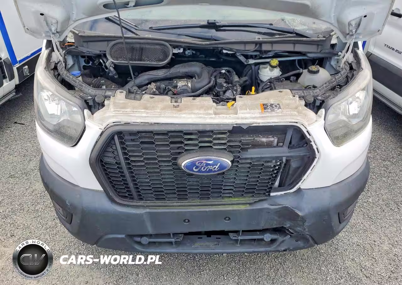 2020 Ford Transit Delivery Truck VIN:1FDBW5Z86LKB30317 - 12