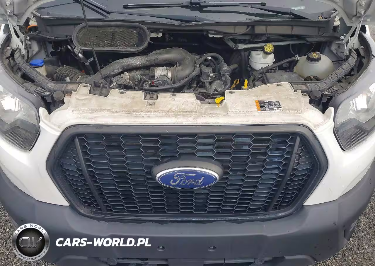 2020 Ford Transit Delivery Truck VIN:1FDBW5Z8XLKB30319 - 11