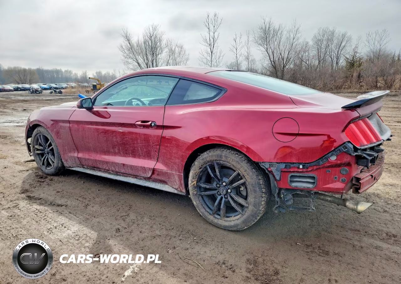 2016 Ford Mustang VIN:1FA6P8TH2G5266175 - 2