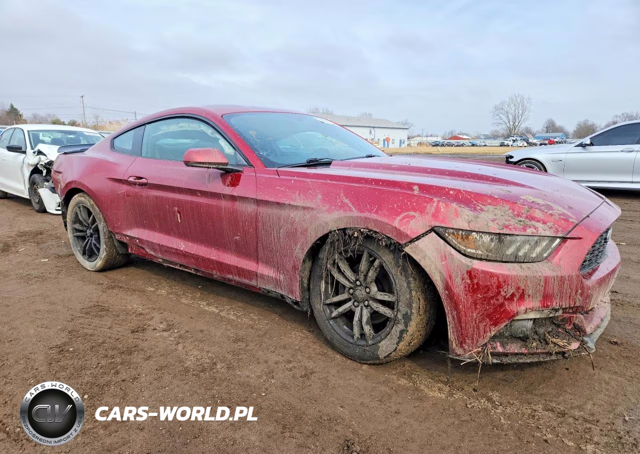 2016 Ford Mustang VIN:1FA6P8TH2G5266175 - 4