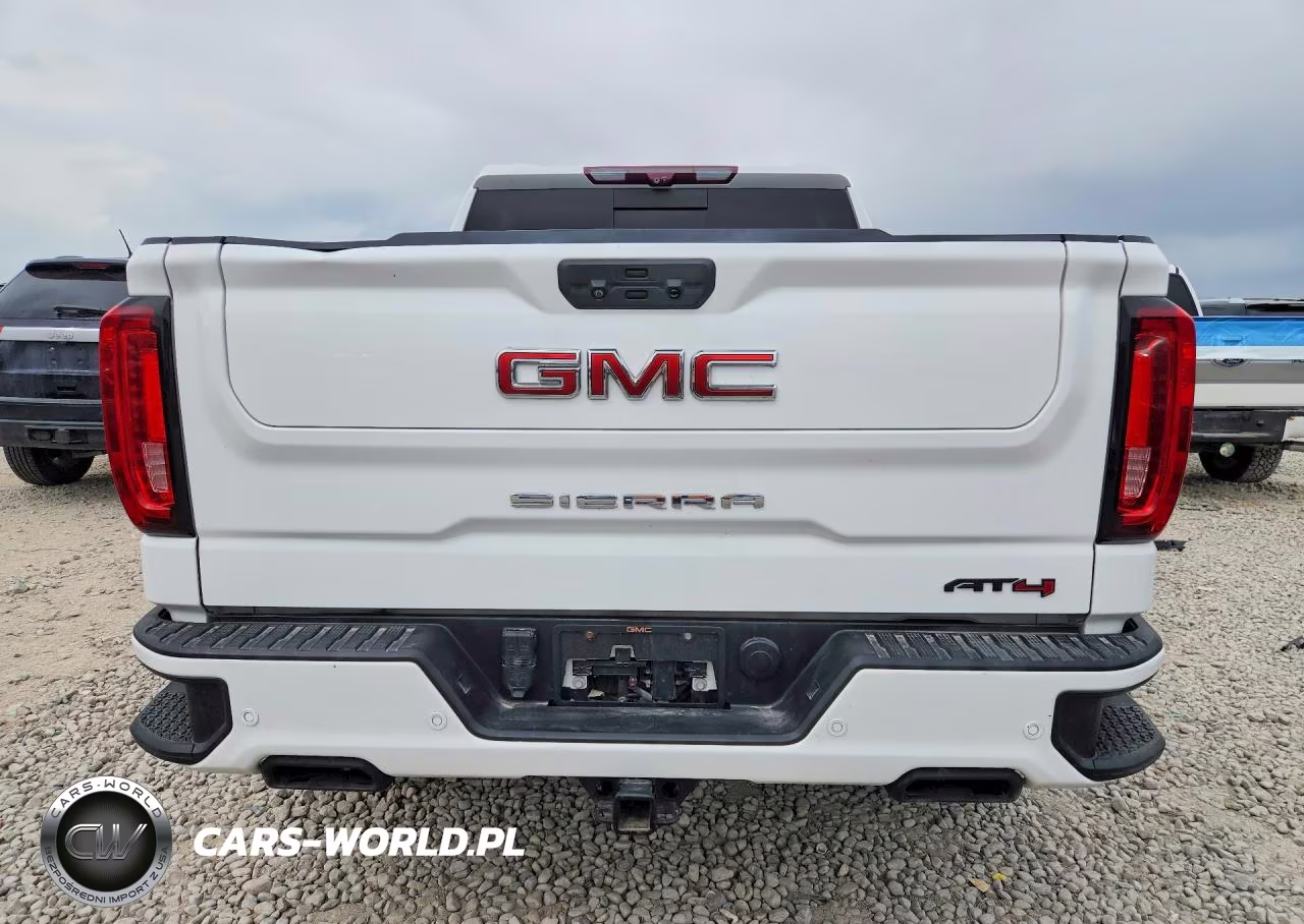 2020 GMC Sierra K1500 At4 VIN:3GTP9EEL9LG379102 - 6