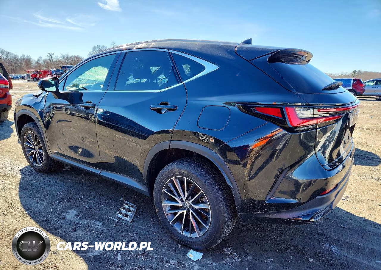 2024 Lexus Nx 350 Premium VIN:2T2GGCEZ2RC049329 - 2