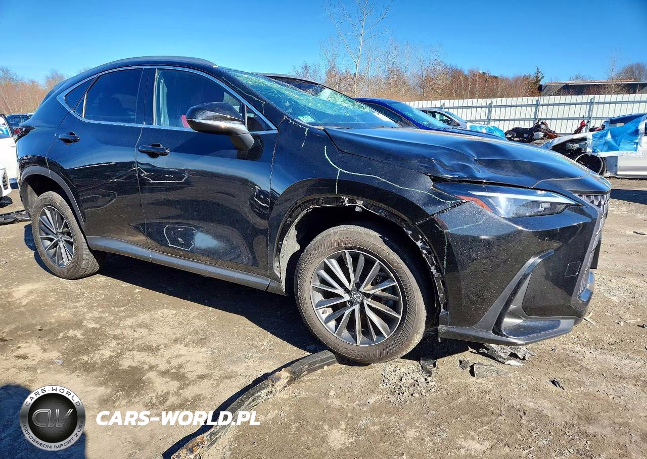 2024 Lexus Nx 350 Premium VIN:2T2GGCEZ2RC049329 - 4
