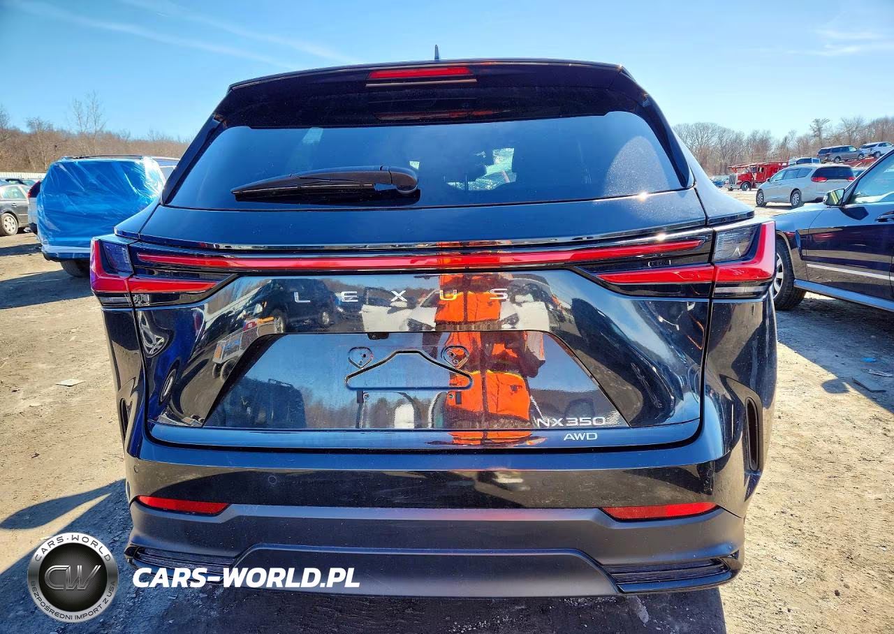 2024 Lexus Nx 350 Premium VIN:2T2GGCEZ2RC049329 - 6