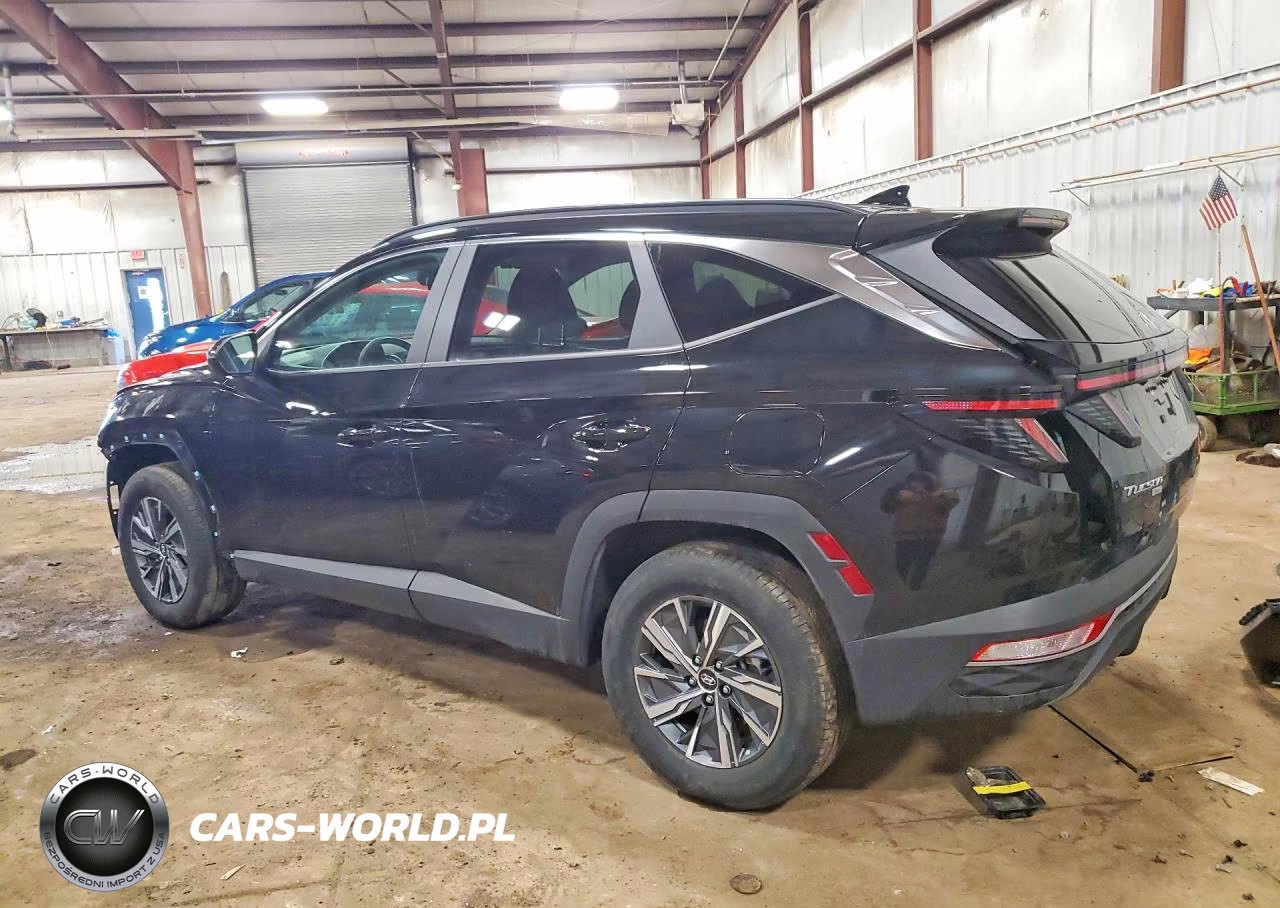 2023 Hyundai Tucson Hybrid Blue VIN:KM8JBCA16PU136493 - 2