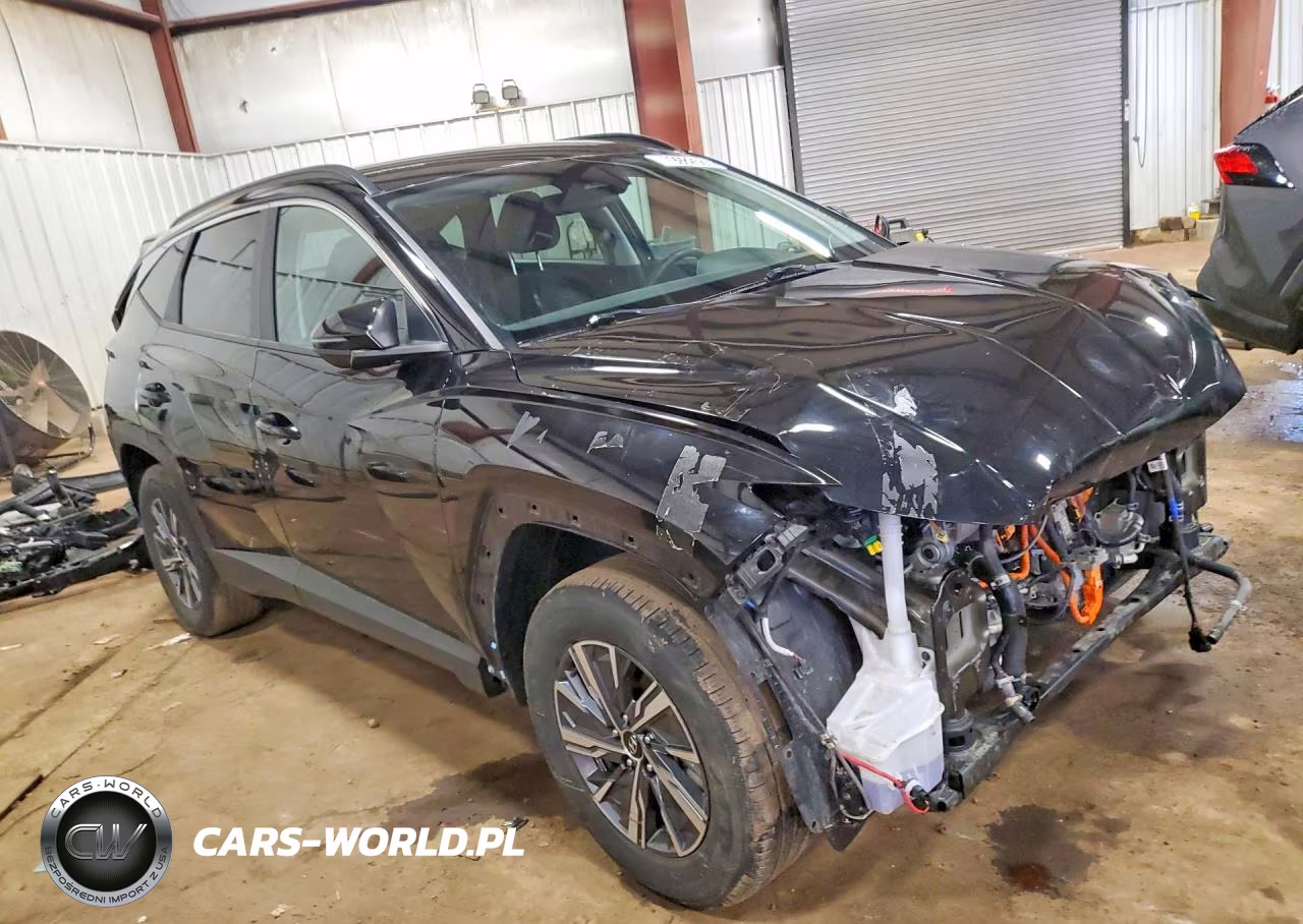 2023 Hyundai Tucson Hybrid Blue VIN:KM8JBCA16PU136493 - 4