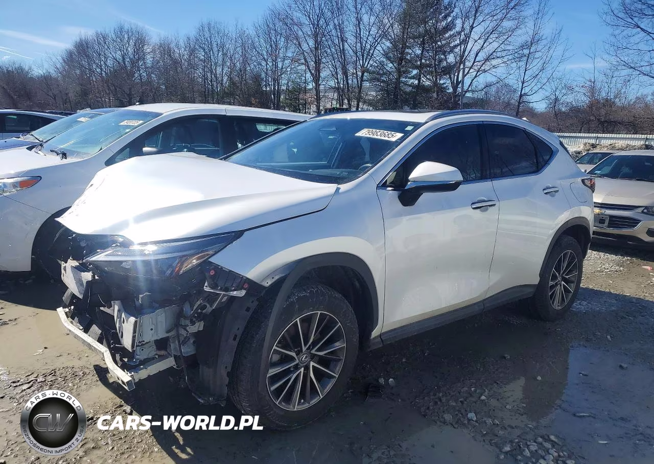2022 Lexus Nx 350 Base VIN:JTJAGCEZ1N5000847 - 1
