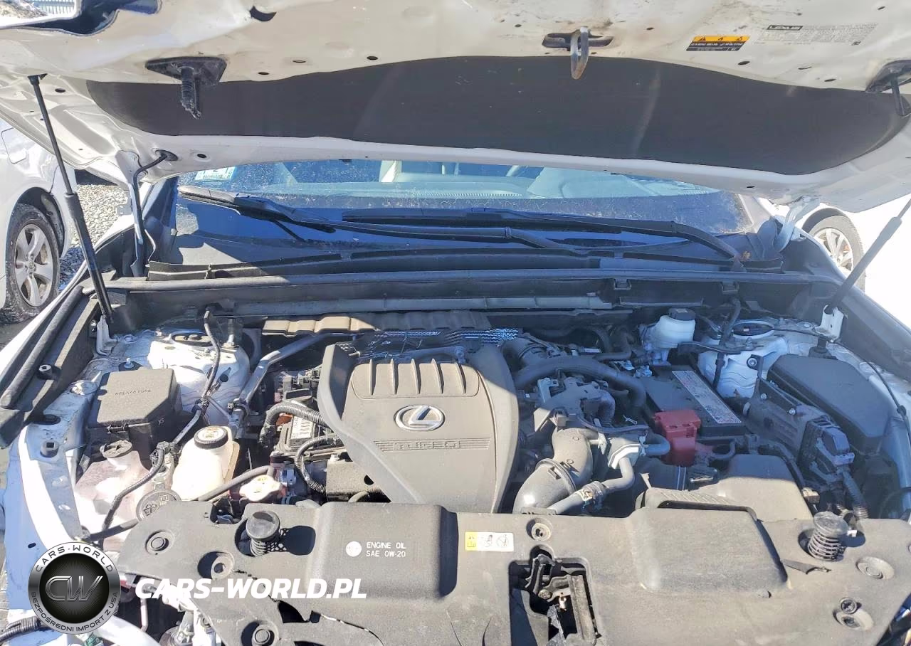 2022 Lexus Nx 350 Base VIN:JTJAGCEZ1N5000847 - 12