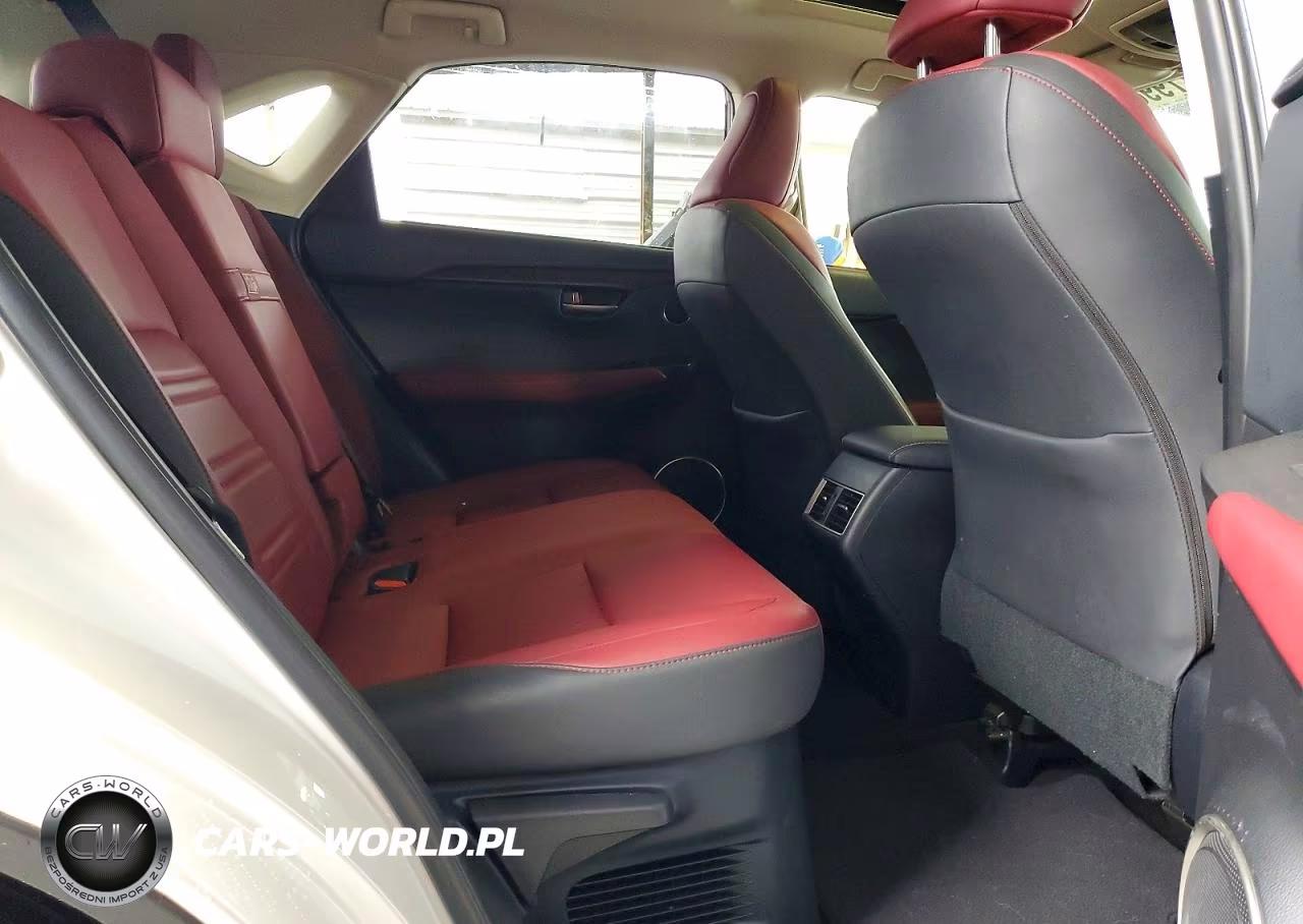 2021 Lexus Nx 300 Base VIN:JTJDARBZ9M5021272 - 11
