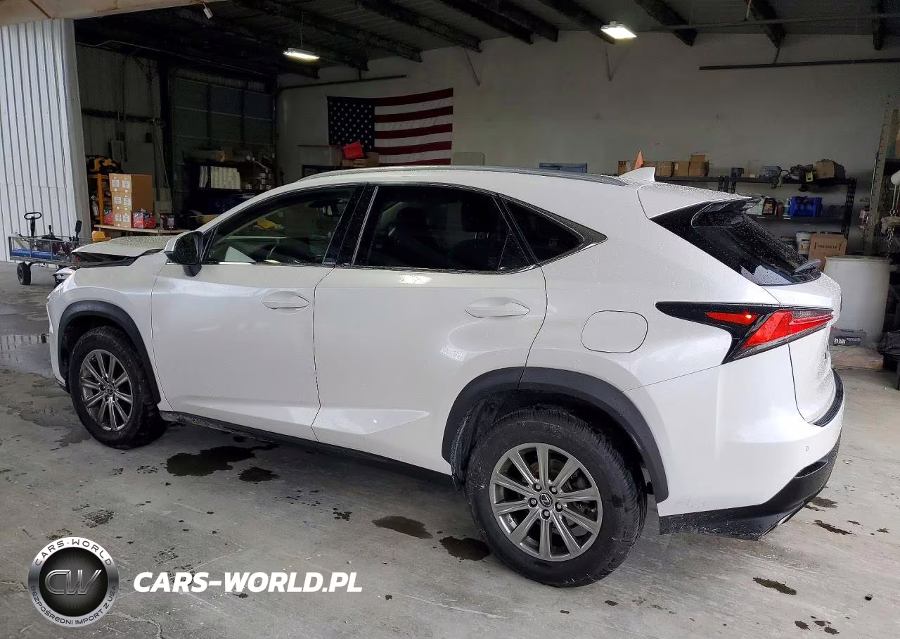 2021 Lexus Nx 300 Base VIN:JTJDARBZ9M5021272 - 2