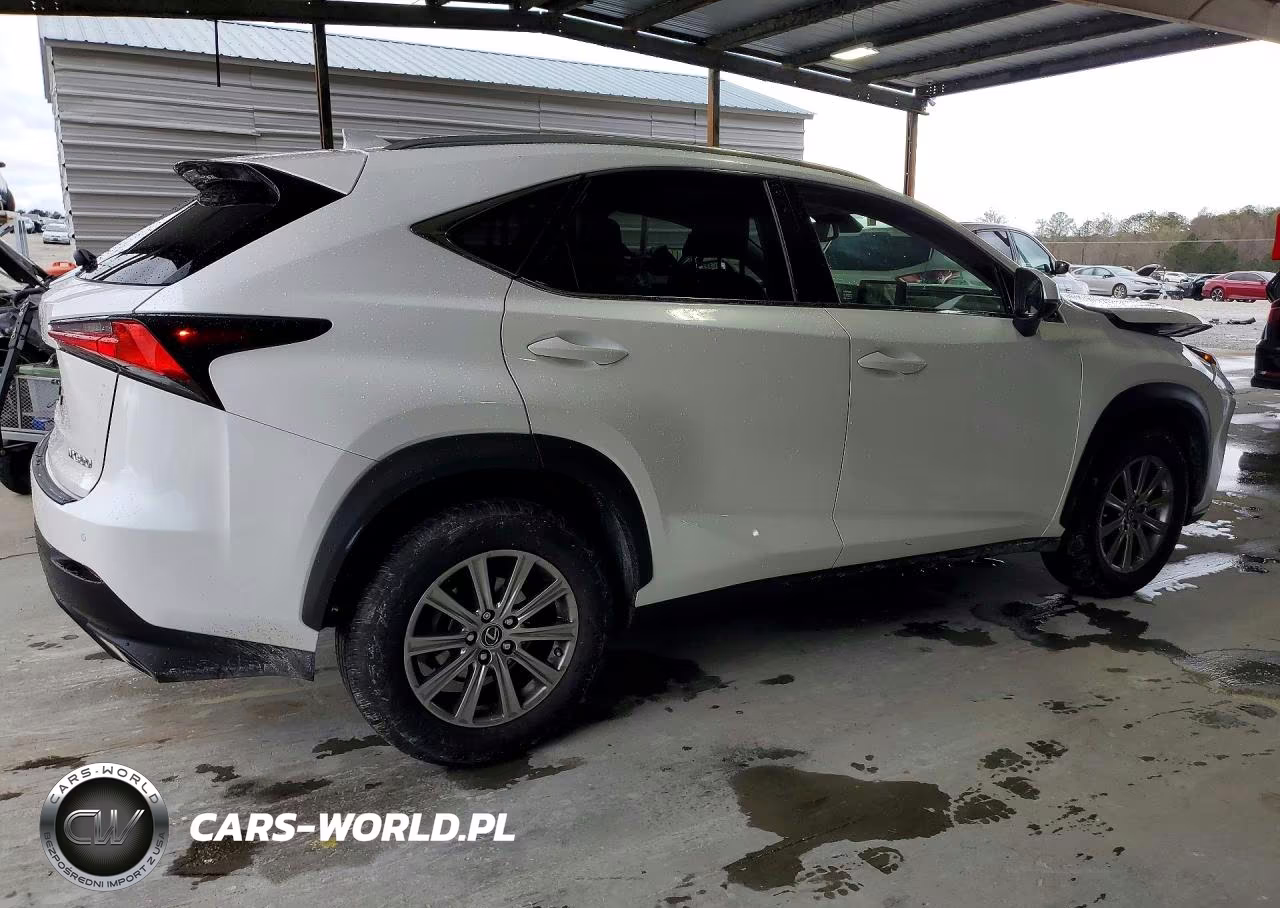 2021 Lexus Nx 300 Base VIN:JTJDARBZ9M5021272 - 3