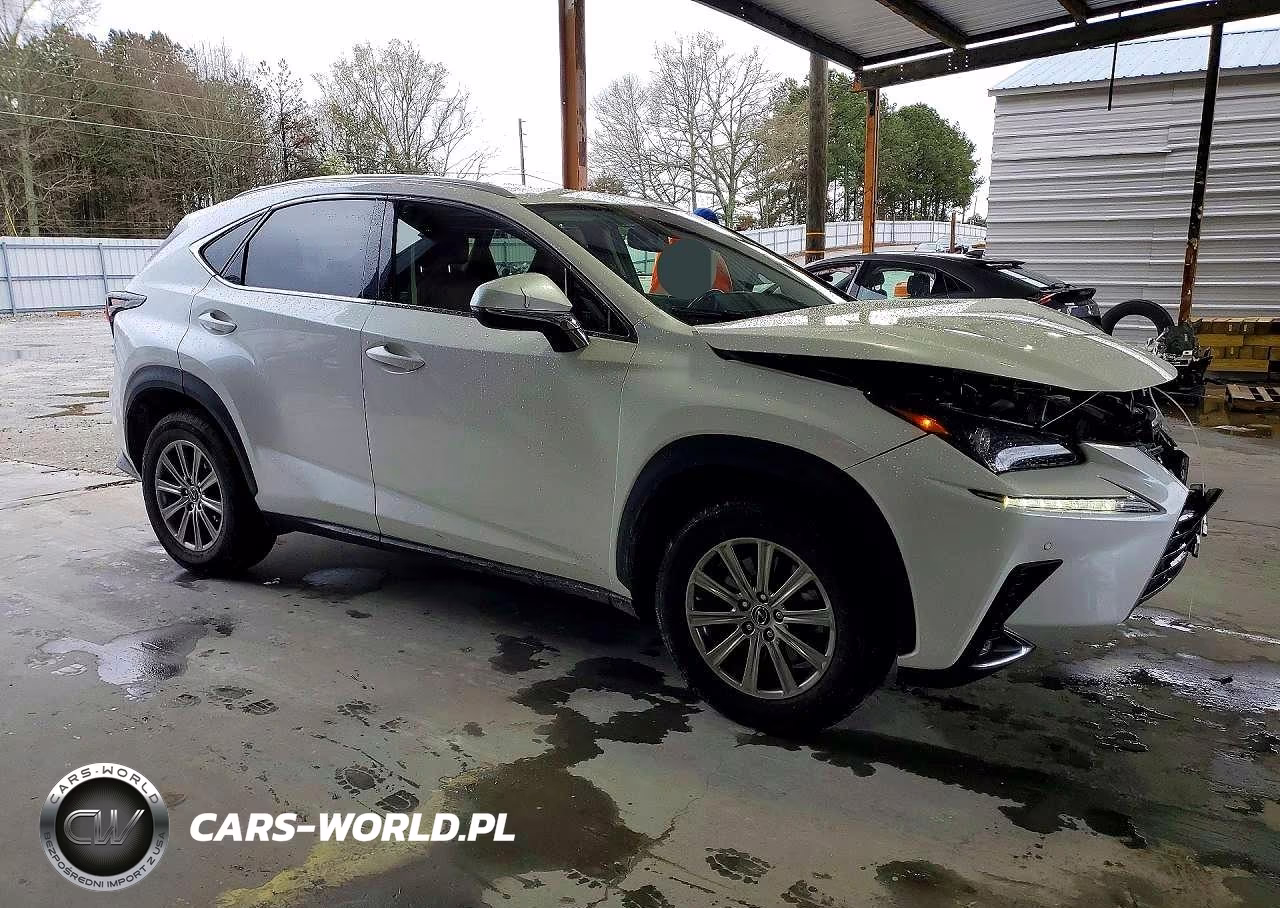 2021 Lexus Nx 300 Base VIN:JTJDARBZ9M5021272 - 4