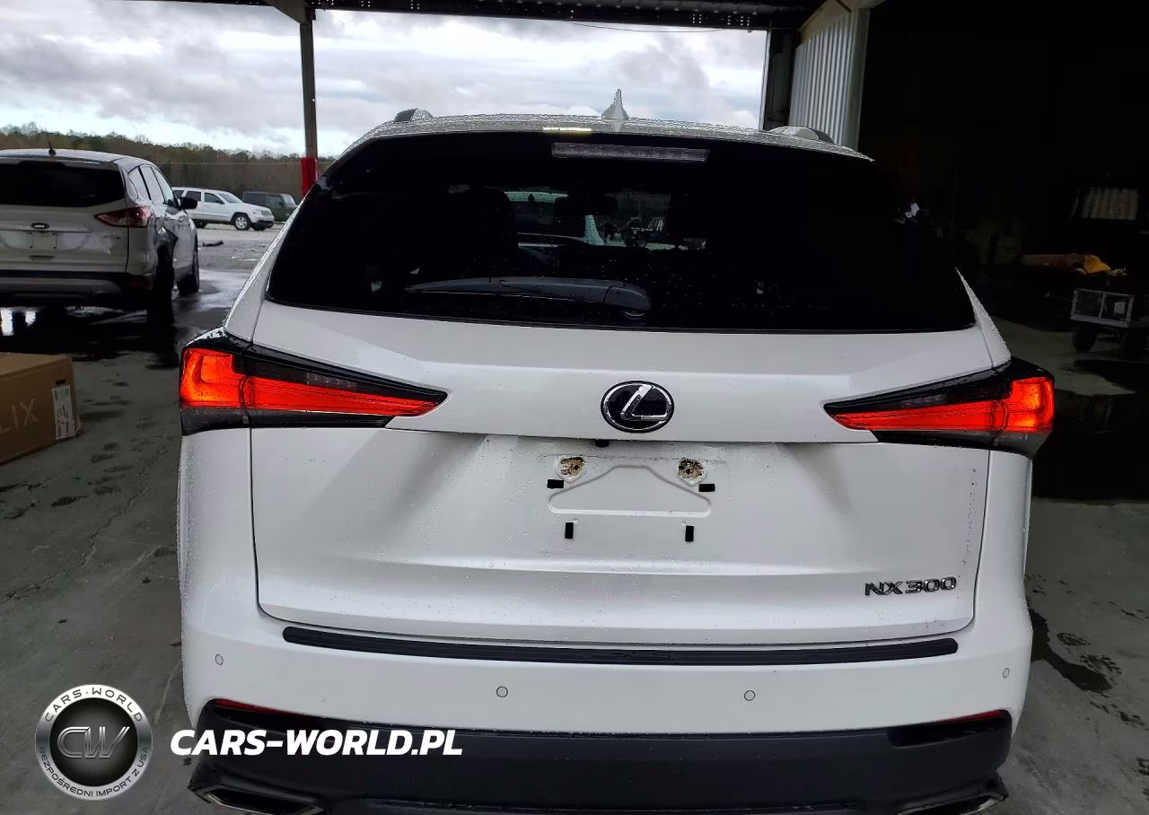 2021 Lexus Nx 300 Base VIN:JTJDARBZ9M5021272 - 6