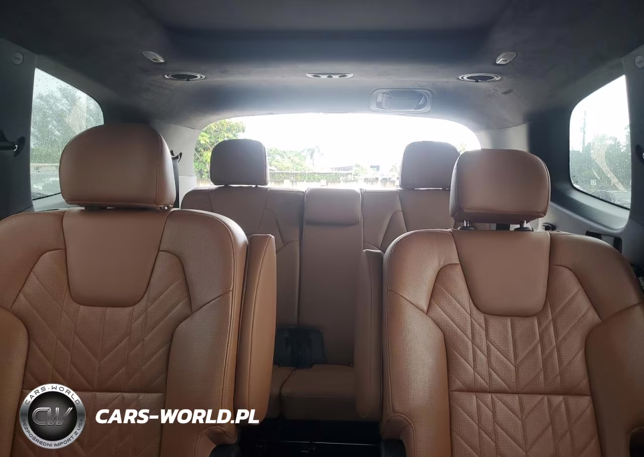 2023 Kia Telluride Sx VIN:5XYP5DGC4PG405712 - 10