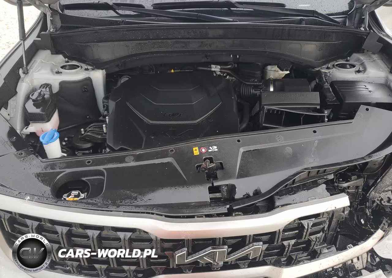 2023 Kia Telluride Sx VIN:5XYP5DGC4PG405712 - 12