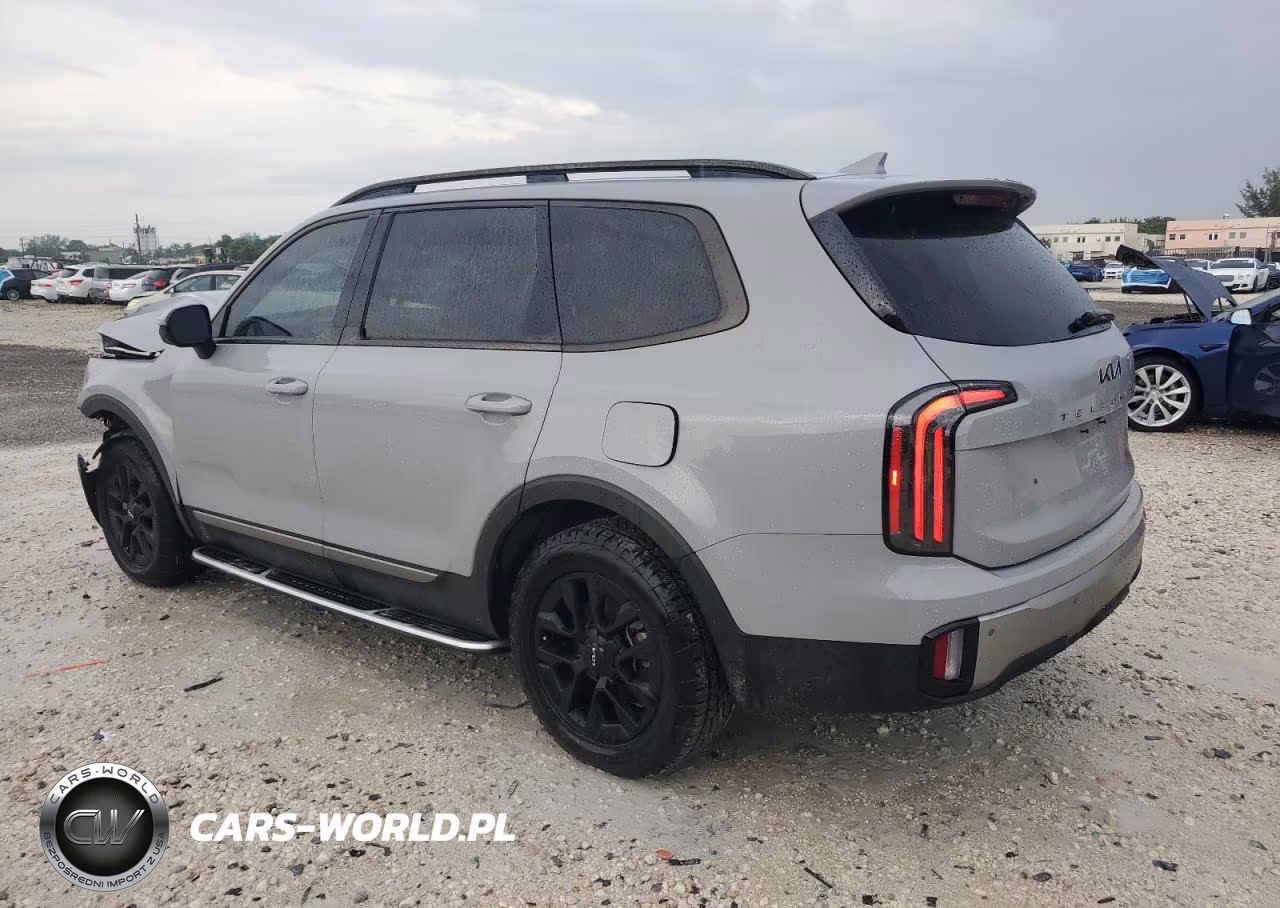 2023 Kia Telluride Sx VIN:5XYP5DGC4PG405712 - 2