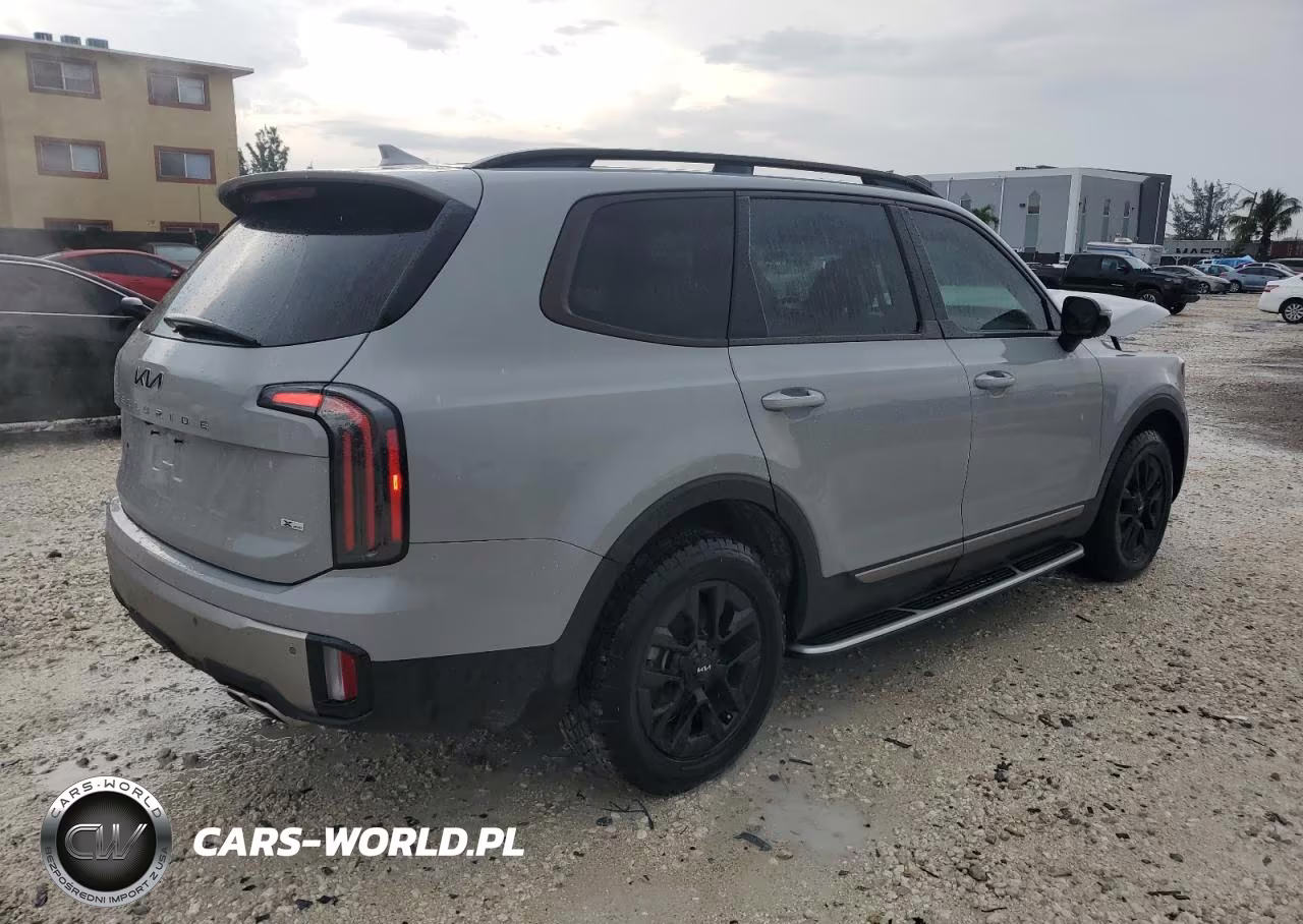 2023 Kia Telluride Sx VIN:5XYP5DGC4PG405712 - 3