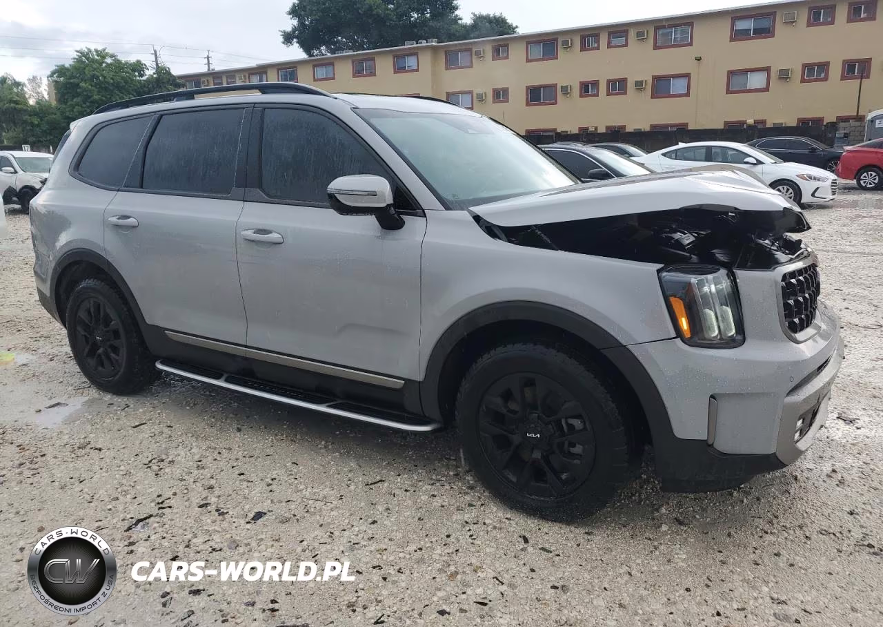 2023 Kia Telluride Sx VIN:5XYP5DGC4PG405712 - 4