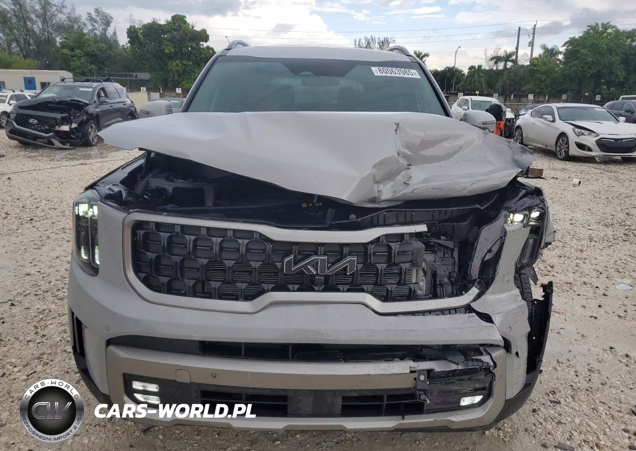 2023 Kia Telluride Sx VIN:5XYP5DGC4PG405712 - 5