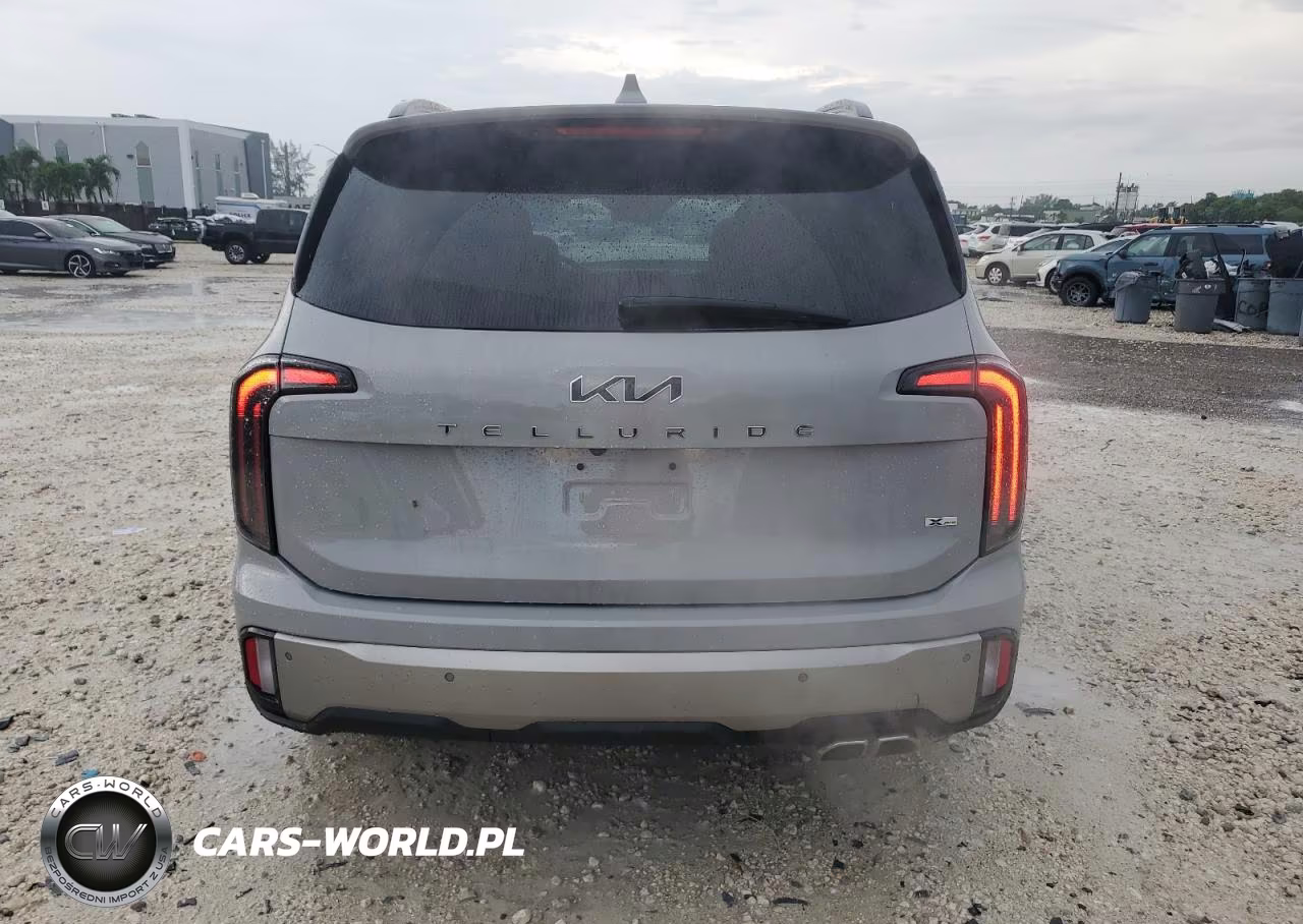 2023 Kia Telluride Sx VIN:5XYP5DGC4PG405712 - 6