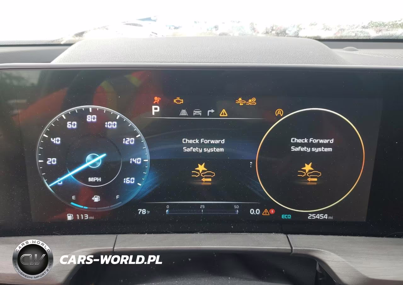 2023 Kia Telluride Sx VIN:5XYP5DGC4PG405712 - 9