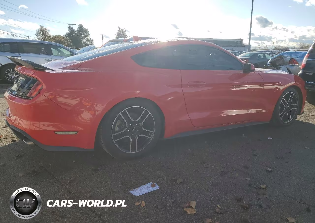 2020 Ford Mustang VIN:1FA6P8TH4L5138711 - 3